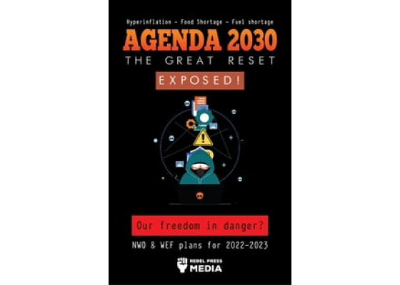 The great reset 2030